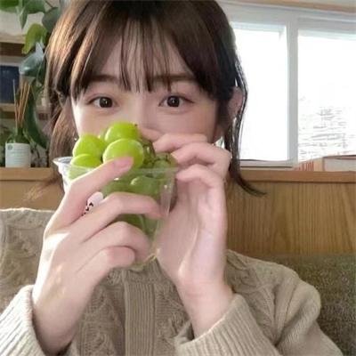 母牛总动员